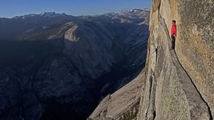 Free Solo's poster