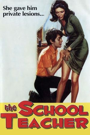 The School Teacher's poster image