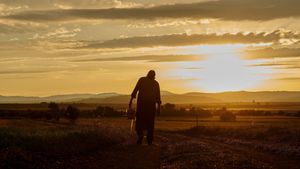 Texas Chainsaw Massacre's poster