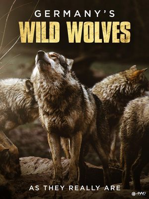 Germany's Wild Wolves - As They Really Are's poster