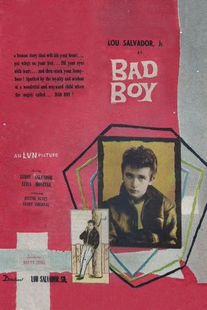 Bad Boy's poster