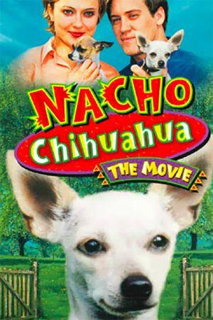 Nacho Chihuahua's poster