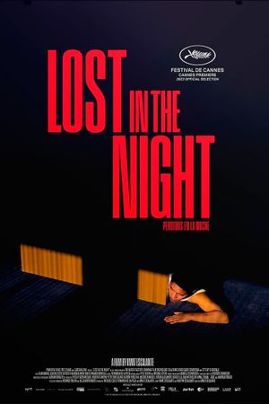 Lost in the Night's poster