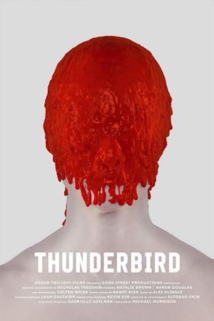 Thunderbird's poster