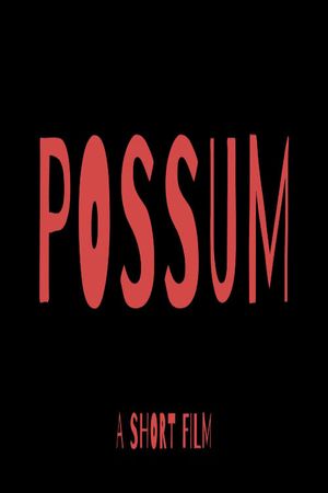 POSSUM's poster