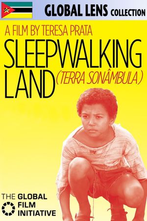 Sleepwalking Land's poster