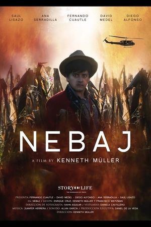 Nebaj's poster
