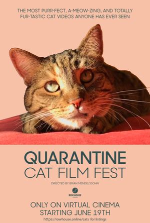 Quarantine Cat Film Fest's poster