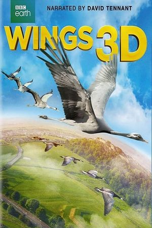 Wings's poster