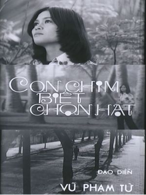 Con Chim Biết Chọn Hạt's poster