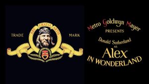 Alex in Wonderland's poster