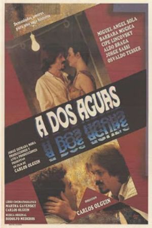 A dos aguas's poster