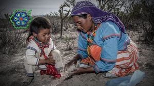 Huicholes: The Last Peyote Guardians's poster