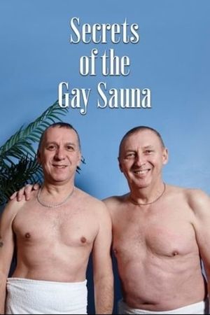 Secrets of the Gay Sauna's poster