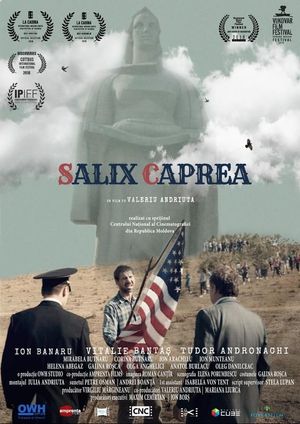 Salix Caprea's poster image