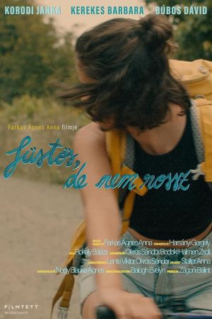 Smoky Like the Last Day of Summer's poster