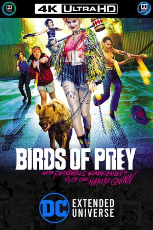 Birds of Prey and the Fantabulous Emancipation of One Harley Quinn's poster