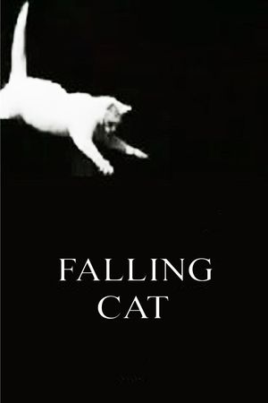 Falling Cat's poster