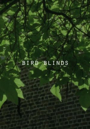 Bird Blinds's poster