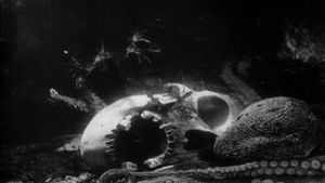 The Octopus's poster