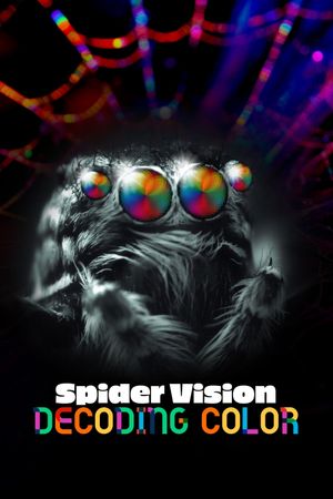 Spider Vision: Decoding Color's poster