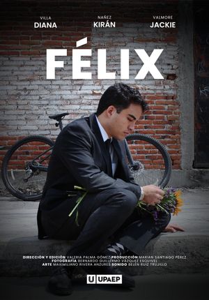 FELIX's poster