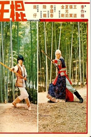 Shaolin Invincible Sticks's poster