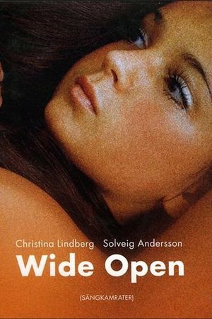 Wide Open's poster