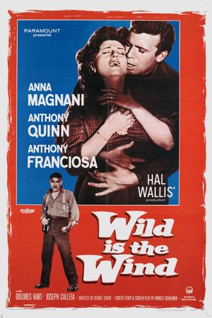 Wild Is the Wind's poster