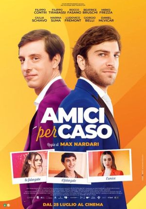 Amici per caso's poster