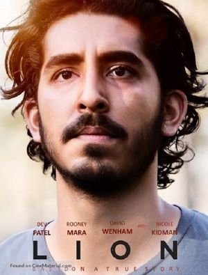 Lion's poster