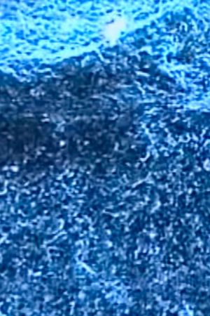 Microscopías's poster