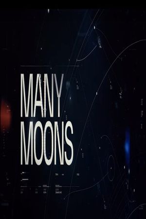 Many Moons's poster