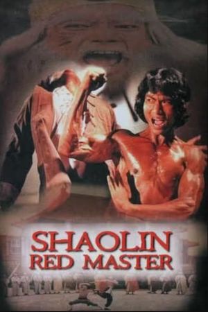 Shaolin Tough Kid's poster