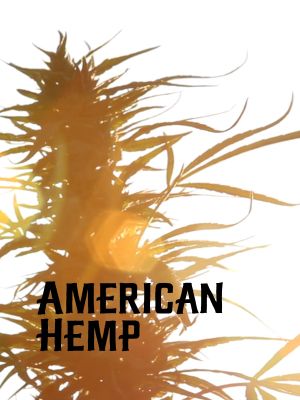 American Hemp's poster