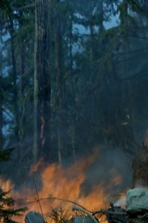 Small Smoke at Blaze Creek's poster