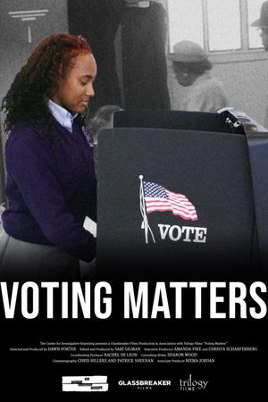 Voting Matters's poster