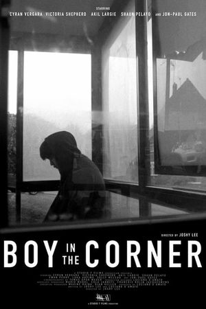 Boy in the Corner's poster