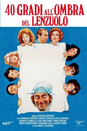 Sex with a Smile's poster