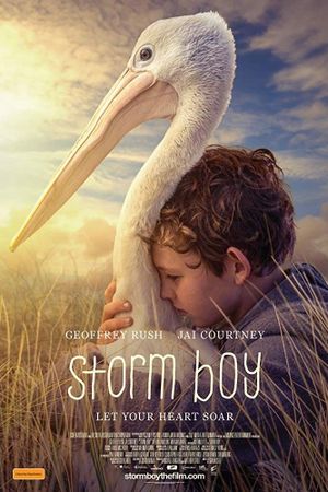 Storm Boy's poster