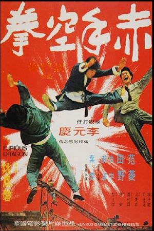Chi shou kong quan's poster