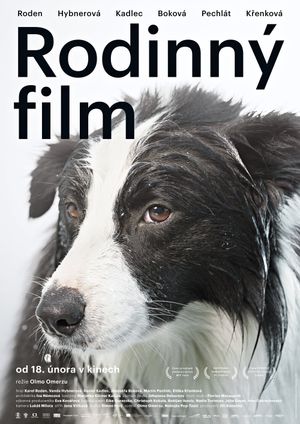 Family Film's poster