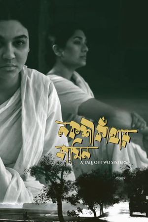 A Tale of Two Sisters's poster