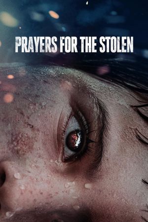 Prayers for the Stolen's poster