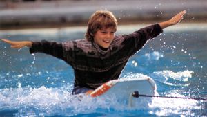 Free Willy's poster