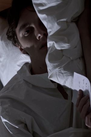 Il Sogno di Adelchi's poster