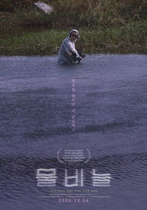The Ripple's poster