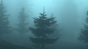In the Mists's poster