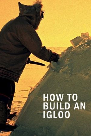 How to Build an Igloo's poster