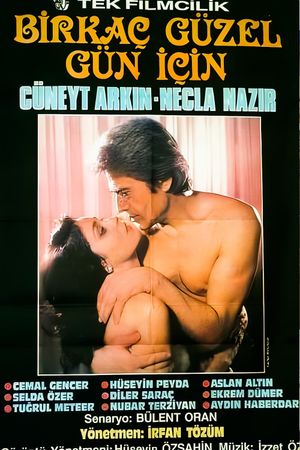Birkaç Güzel Gün Için's poster